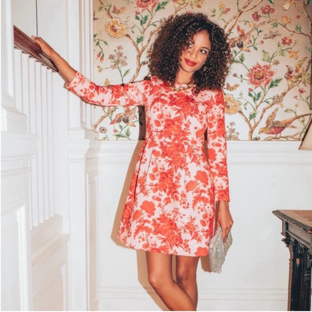 NWT Tuckernuck Zinnia Bloom Drew Dress Thick Stretchy Mini Flare Pink Red Size L